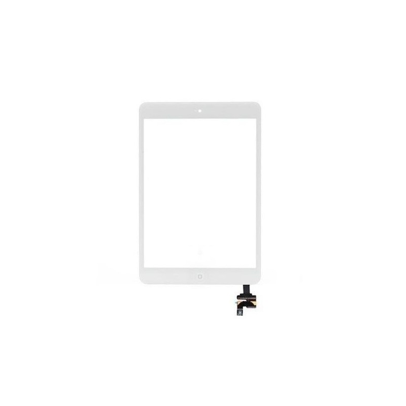 Touch screen vetro Apple iPad Mini 3 A1599 A1600 A601 serie completo connettore e flat Touch screen vetro Apple iPad Mini 3 A1599 A1600 A601 serie completo connettore e flat